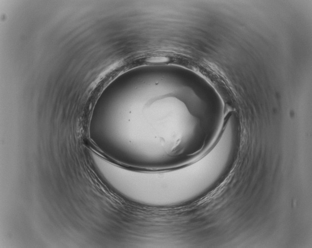 X0000086931210200704231322