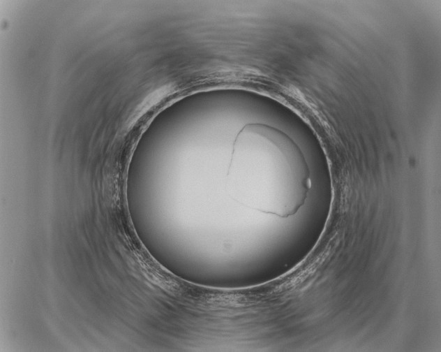 X0000086931211200704231322