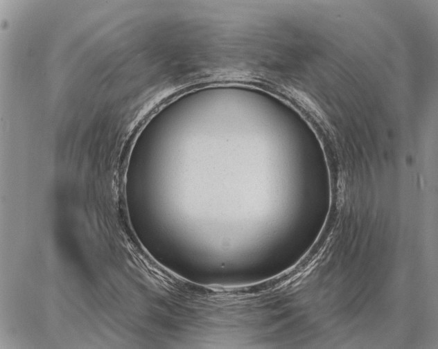 X0000086931212200704231322