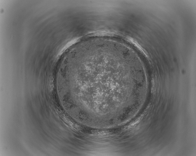 X0000086931213200704231322