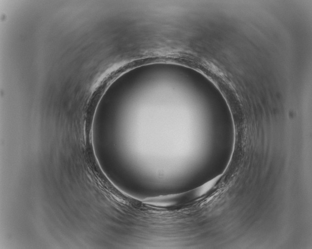 X0000086931214200704231322