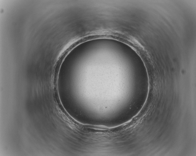 X0000086931216200704231322