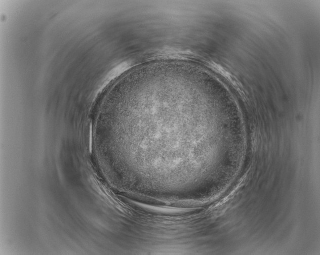 X0000086931219200704231322