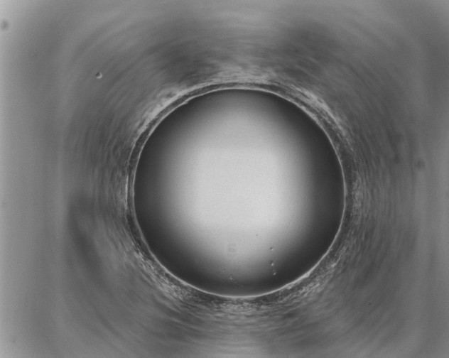 X0000086931220200704231322