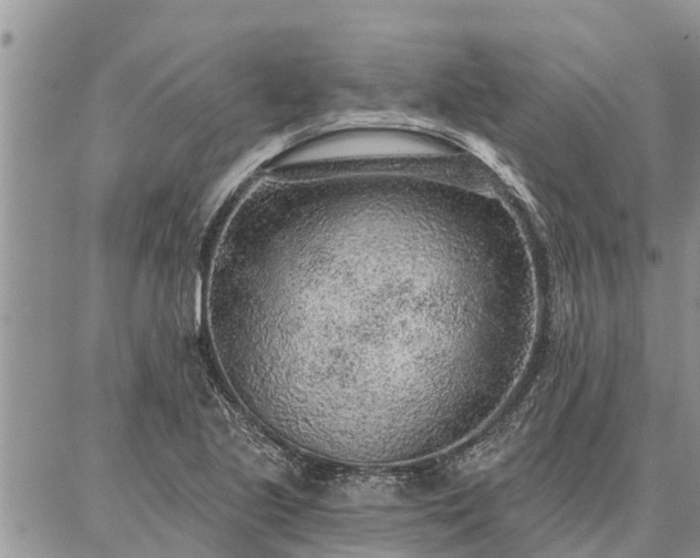 X0000086931221200704231322