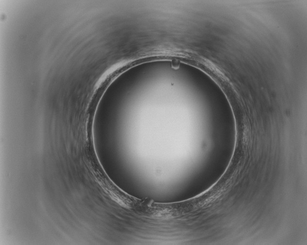 X0000086931222200704231322