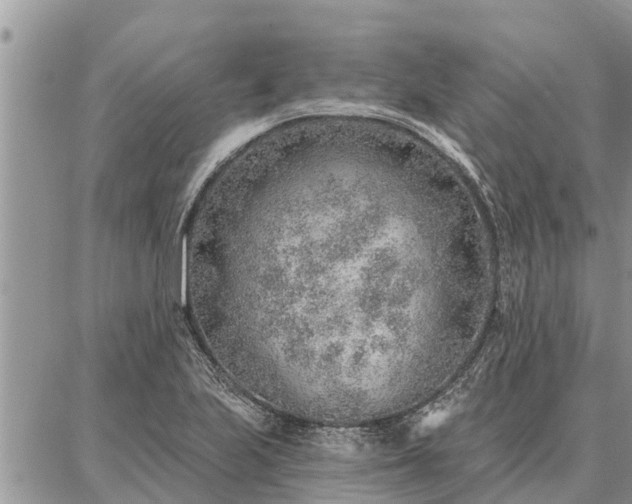 X0000086931223200704231322