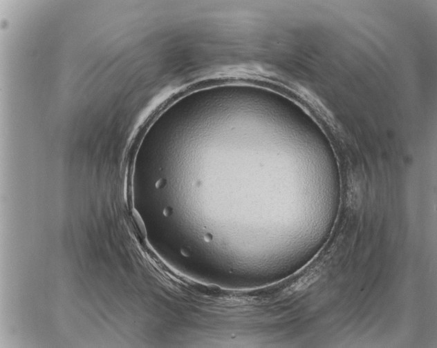 X0000086931224200704231322