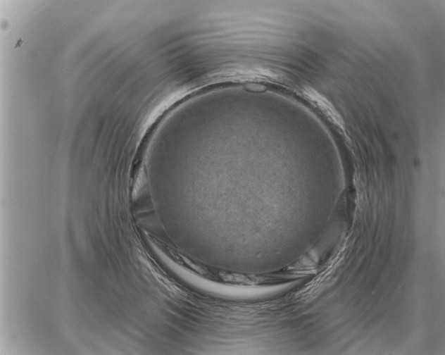 X0000086931226200704231322