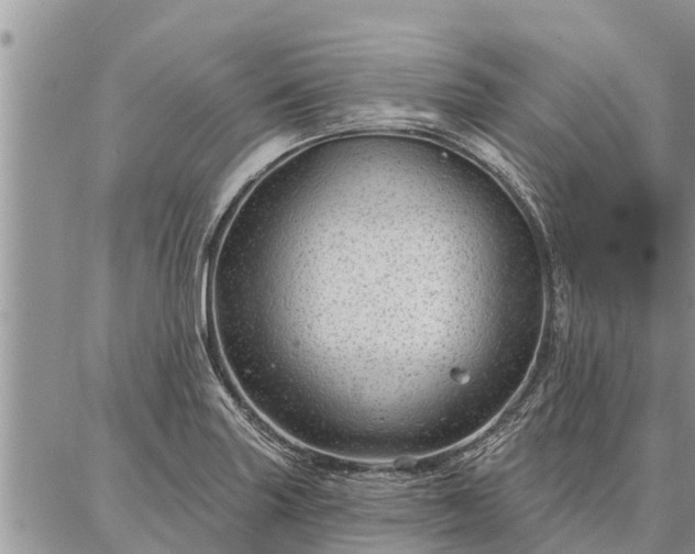 X0000086931227200704231322