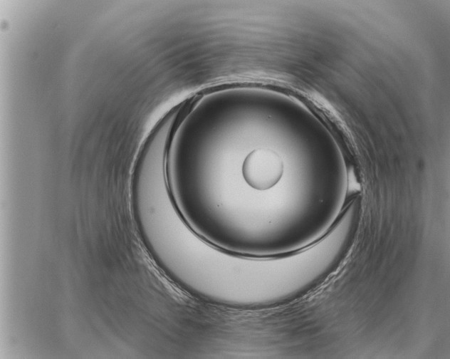 X0000086931230200704231322