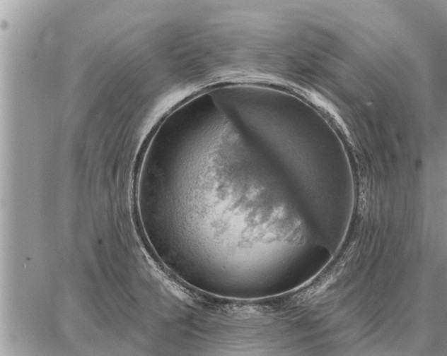 X0000086931231200704231322