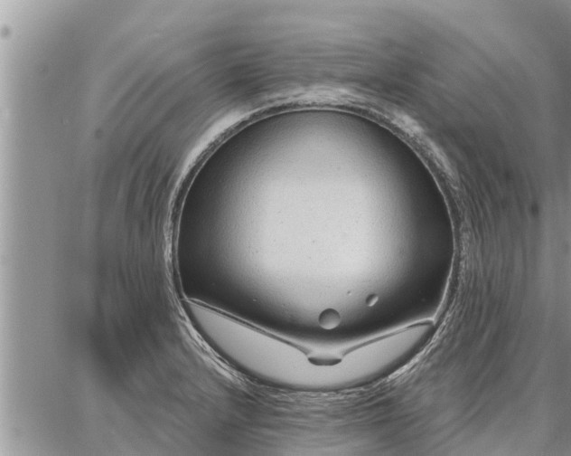 X0000086931232200704231322