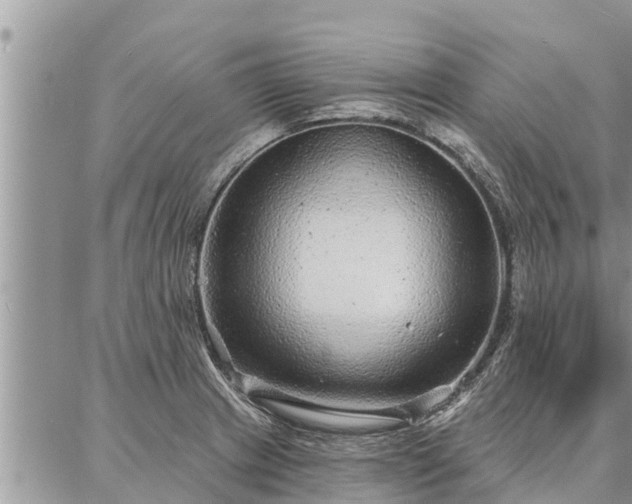 X0000086931233200704231322