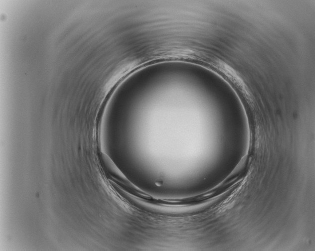 X0000086931234200704231322