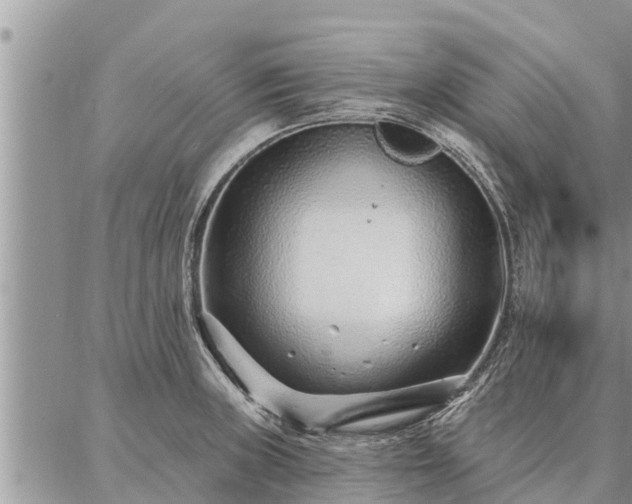 X0000086931235200704231322