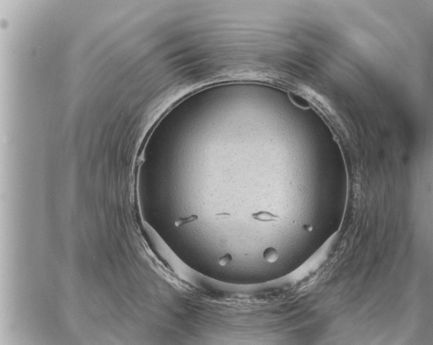 X0000086931236200704231322