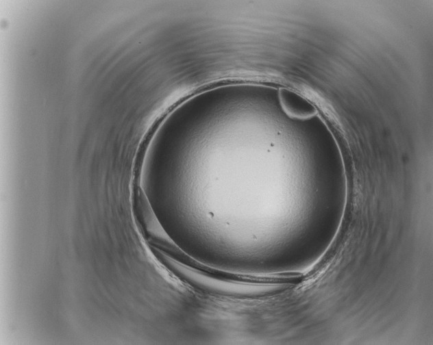 X0000086931237200704231322