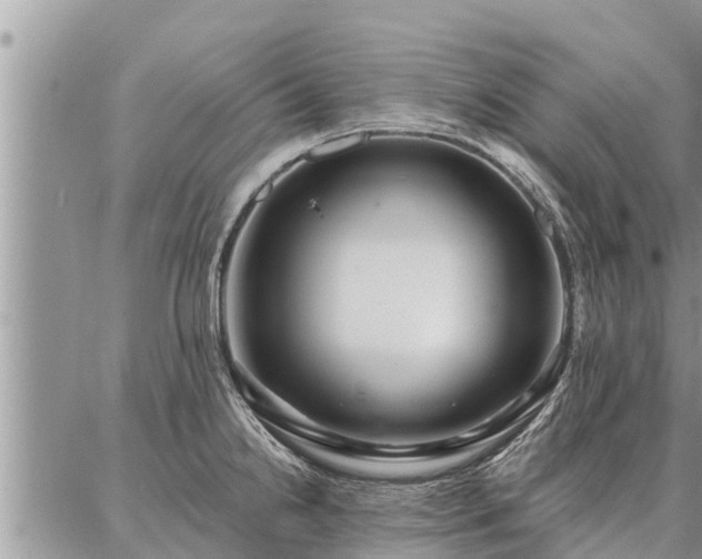 X0000086931238200704231322