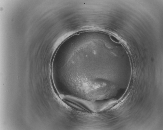 X0000086931239200704231322