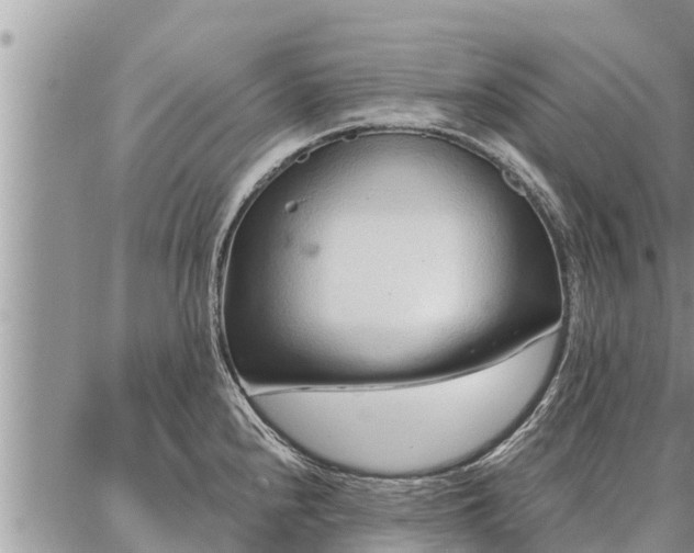 X0000086931240200704231322