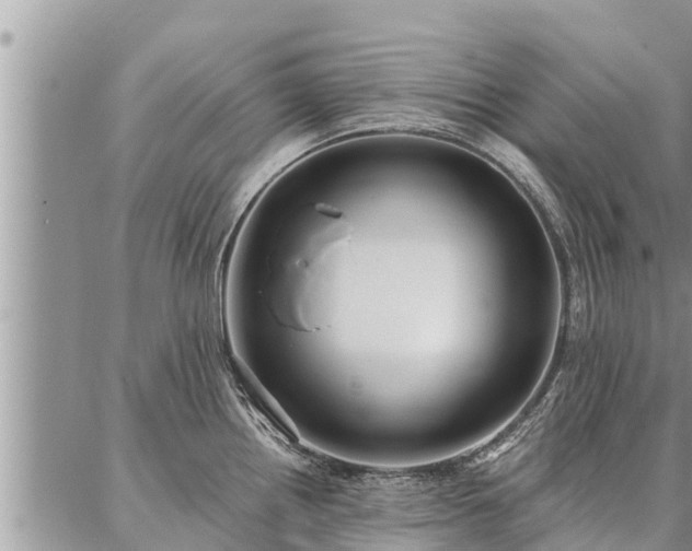 X0000086931242200704231322