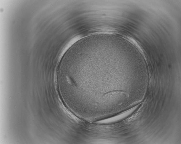 X0000086931243200704231322