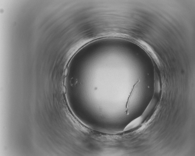 X0000086931244200704231322