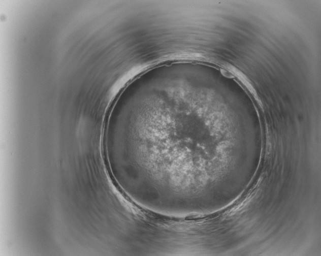 X0000086931245200704231322