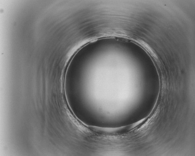 X0000086931246200704231322