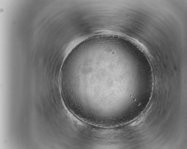 X0000086931247200704231322