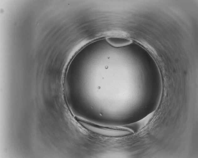 X0000086931248200704231322