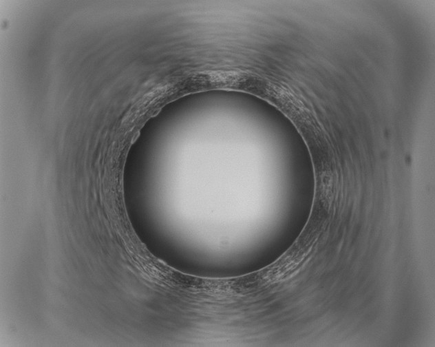 X0000086931249200704231322