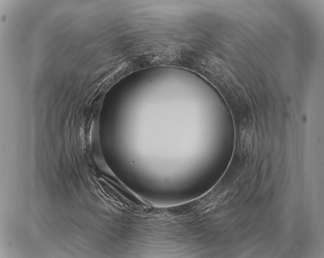 X0000086931250200704231322