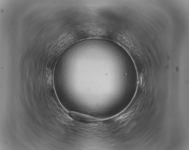 X0000086931251200704231321