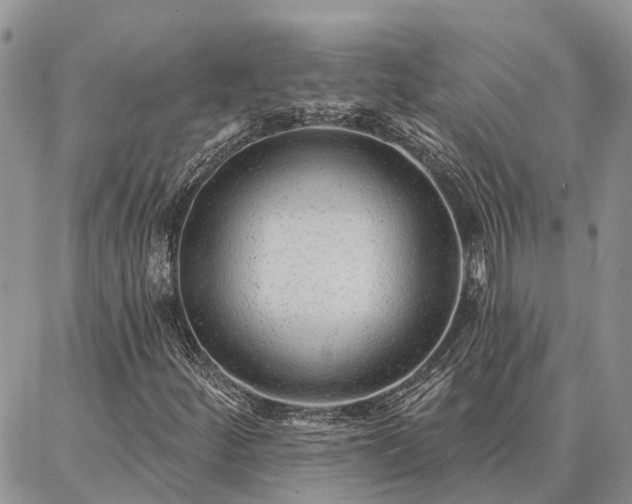 X0000086931252200704231321