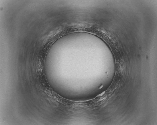 X0000086931253200704231321