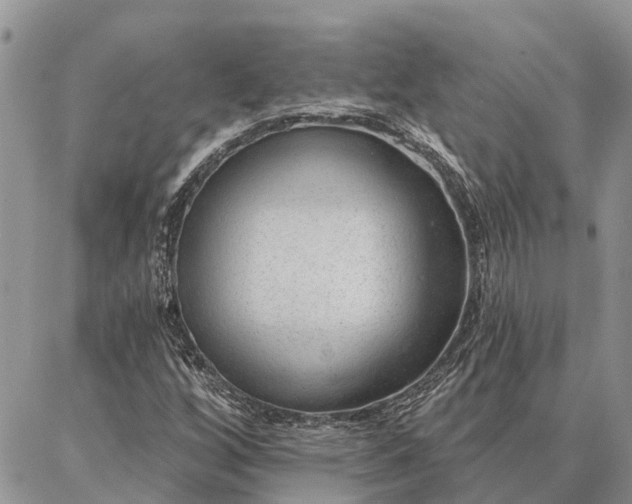 X0000086931256200704231321