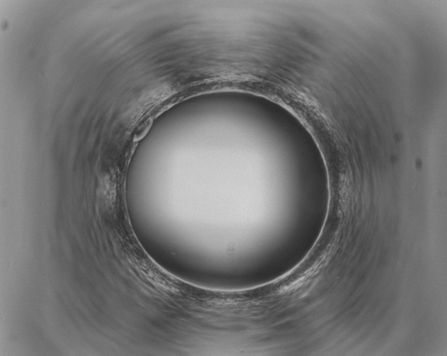 X0000086931257200704231321