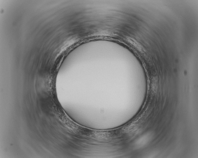 X0000086931258200704231321