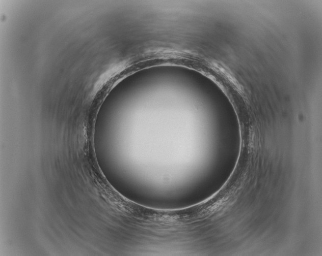 X0000086931261200704231321