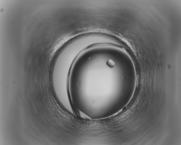 X0000086931263200704231321