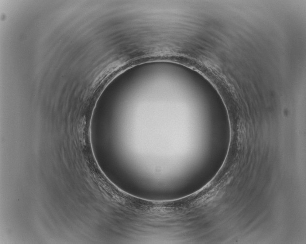 X0000086931265200704231321