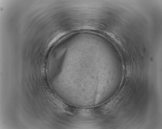 X0000086931266200704231321