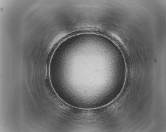 X0000086931267200704231321