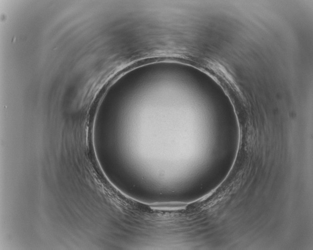 X0000086931268200704231321