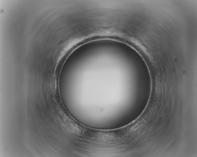 X0000086931270200704231321