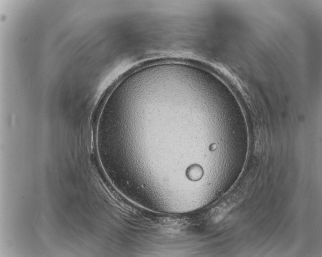 X0000086931271200704231321