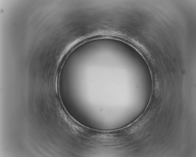 X0000086931272200704231321