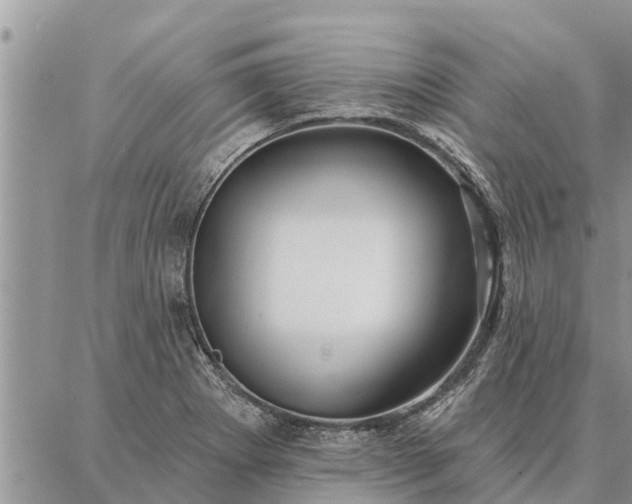 X0000086931273200704231321